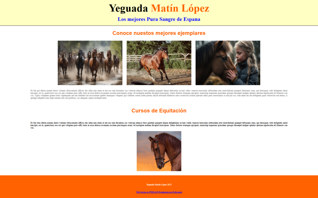 Proyecto Web Caballería