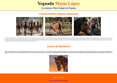 Proyecto Web Caballería