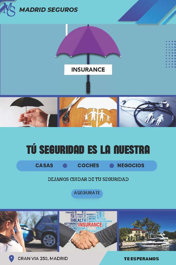 practica_ canva_seguros