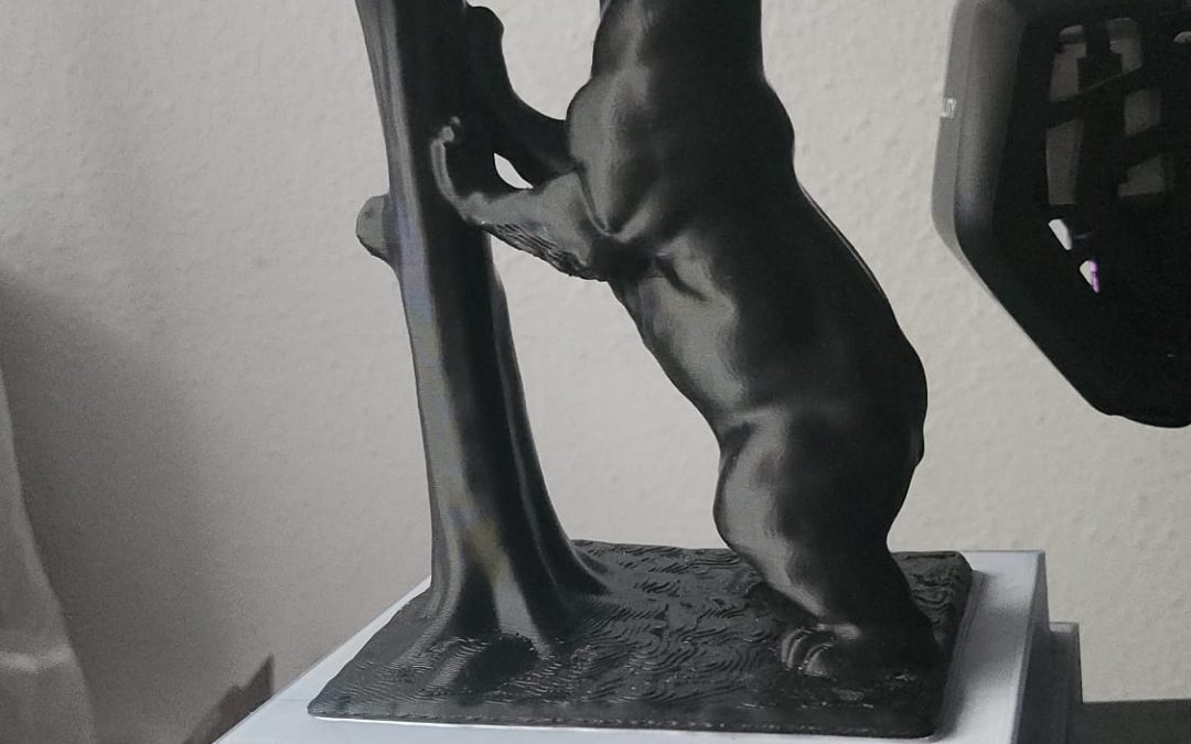 Oso y Madroño