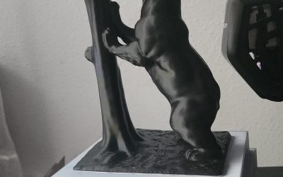 Oso y Madroño